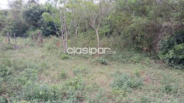 En venta terreno en ita id:40945, foto 4