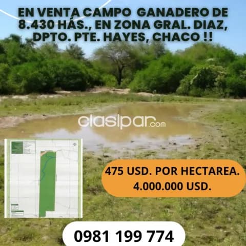En venta campo ganadero de 8.430 hectareas en gral. Diaz, dpto de pte. Hayes, chaco!! — foto 2
