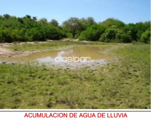 En venta campo ganadero de 8.430 hectareas en gral. Diaz, dpto de pte. Hayes, chaco!! — foto 5