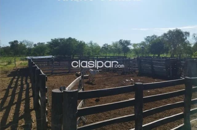 Estancia de 2.500 Hectáreas en Mcal. Estigarribia, Boquerón - CLCS7426071, foto 3