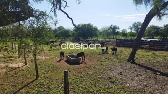 Estancia de 2.500 Hectáreas en Mcal. Estigarribia, Boquerón - CLCS7426071, foto 4