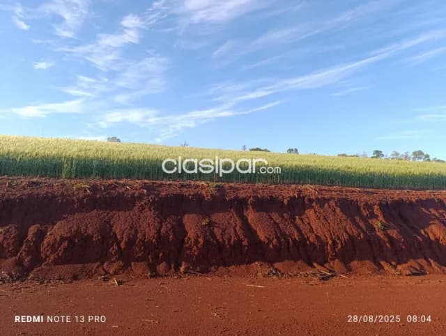 Cedrales, alto paraná: Altamente agricola, utilidad multiple, tierra colorada premium, foto 3