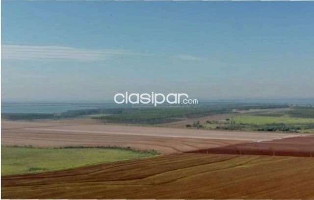 Hernandarias, alto paraná: 388 has, altamente productivas, tierra roja premiun, foto 1