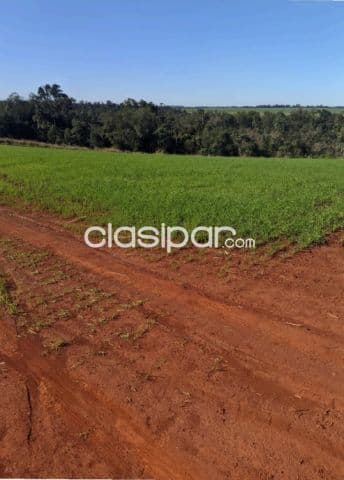 Minga guazú, alto parana, prox. Ruta 02: 689 hect. Mecanizadas, tierra roja premiun, foto 1