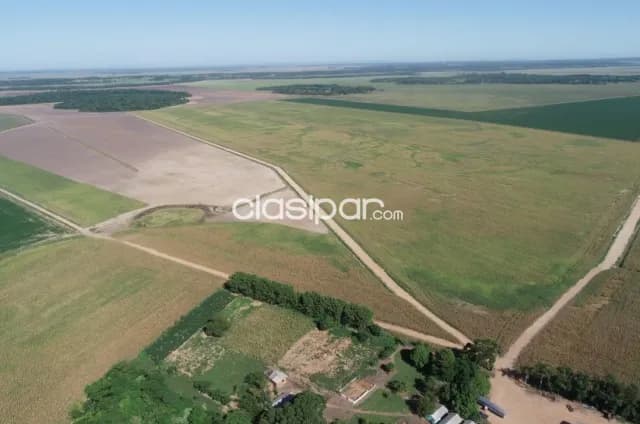 Caazapá, yuty, prox. Pirapó: 1.896 has mecanizadas, altamente agrícola, soja, maíz — foto 3
