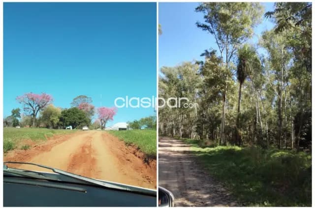 Itapúa/fram. Hohenau, mecanizadas: Tierra roja, mixta y negra c/ infraestructuras + eucali — foto 3