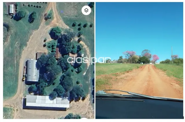 Itapúa/fram. Hohenau, mecanizadas: Tierra roja, mixta y negra c/ infraestructuras + eucali — foto 4