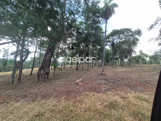 de terrenos desde U$ 10.000 - Nueva Colombia, foto 5