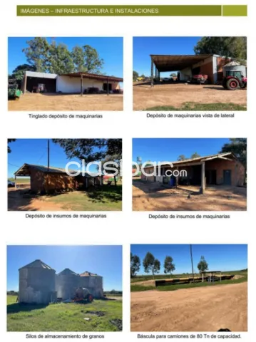 San pedro del paraná, itapúa: 2.508 has inigualables! Agro-ganaderas, sojas, alta producti — foto 3