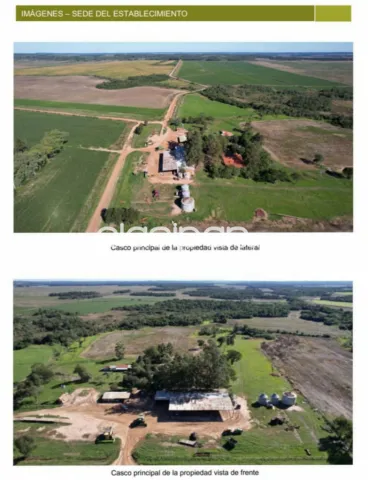 San pedro del paraná, itapúa: 2.508 has inigualables! Agro-ganaderas, sojas, alta producti — foto 4