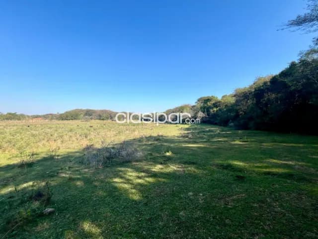 Granja Agrícola/Ganadero sobre Ruta en Yataity - 21 Ha — foto 2