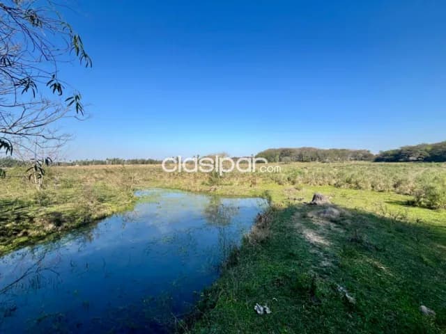 Granja Agrícola/Ganadero sobre Ruta en Yataity - 21 Ha — foto 3