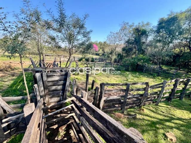 Granja Agrícola/Ganadero sobre Ruta en Yataity - 21 Ha — foto 5