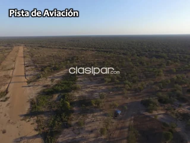 Mayor infante rivarola, boquerón: Inigualables 4.000 has, pasturas, reservas forestales, foto 4