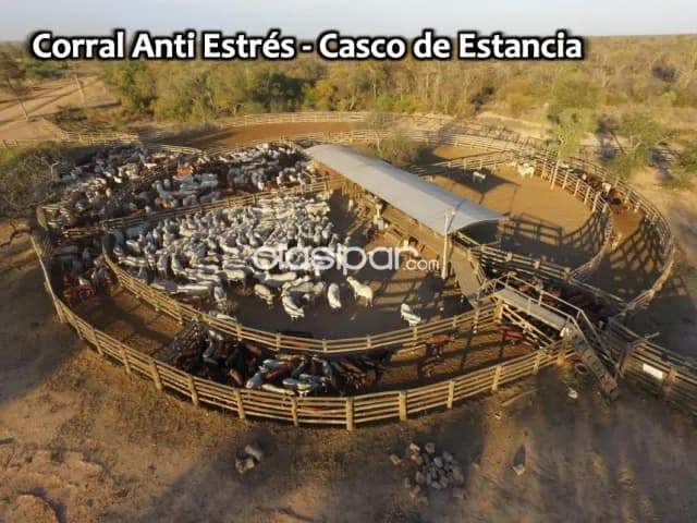 Mayor infante rivarola, boquerón: Inigualables 4.000 has, pasturas, reservas forestales, foto 5