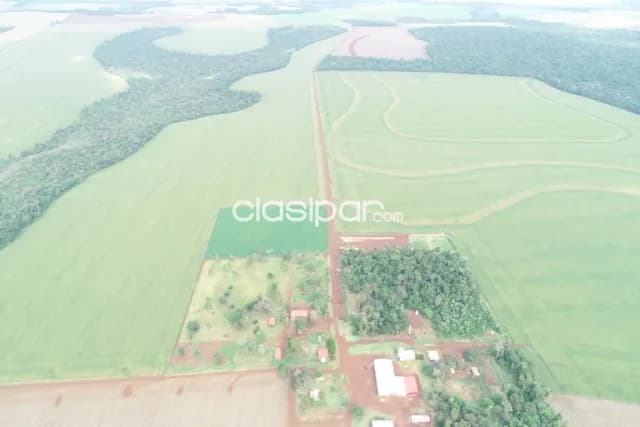 Santa rita: 1.042 has, excelente tierra apta p/ soja y otros, infraestructura base, foto 3