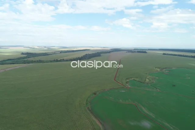 Santa rita: 1.042 has, excelente tierra apta p/ soja y otros, infraestructura base, foto 4