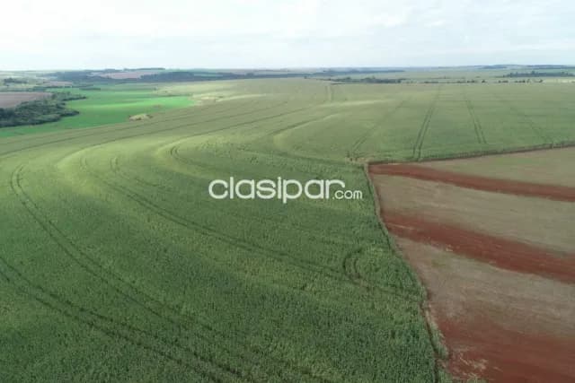Santa rita: 1.042 has, excelente tierra apta p/ soja y otros, infraestructura base, foto 5