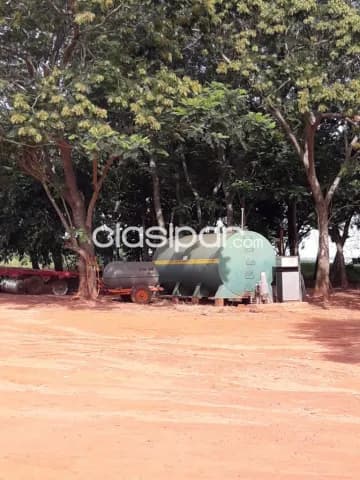 San pedro, canindeyú: 1.003 has, mecanizadas y en desarrollo, eucaliptus, reservas, foto 3