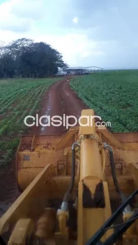 San pedro, canindeyú: 1.003 has, mecanizadas y en desarrollo, eucaliptus, reservas, foto 4