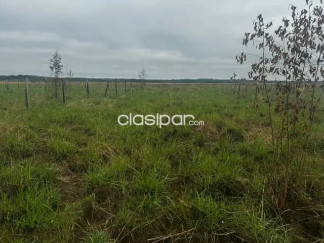 Lotes en Villeta - Oportunidad Única para Inversión o Vivienda — foto 3