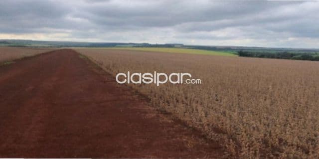 Santa rosa del monday, alto paraná: 1.000 has, tierra roja mecanizada, 18.000 usd/ha — foto principal