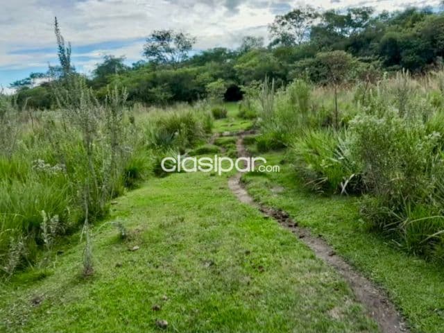 Terreno Rural en Yataity - 16 Ha