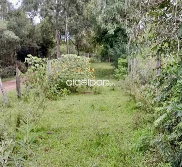 Terreno Rural en Yataity - 16 Ha, foto 3