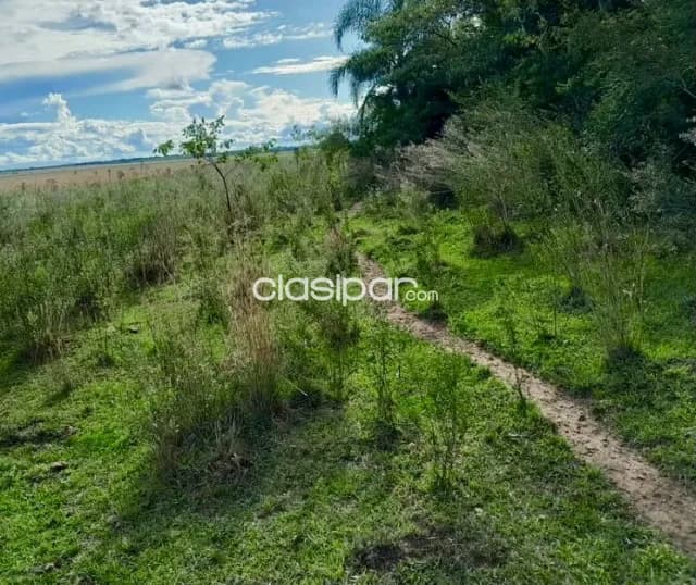Terreno Rural en Yataity - 16 Ha, foto 4