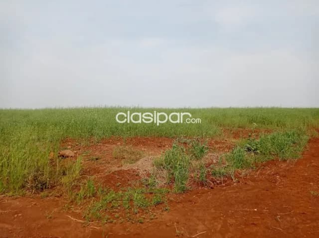 Campo Agrícola Mecanizado en Hohenau 4 sobre Asfalto - 105 Ha, foto 2