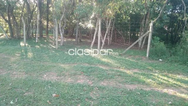 2 terrenos en itacurubi de la cordillera — foto 4
