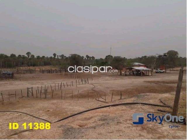 🐄🐂🌳 vendo estancia en alto paraguay-fortin florida, 1500has🌳🐂🐄