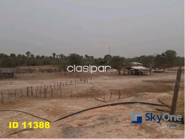 🐄🐂🌳 vendo estancia en alto paraguay-fortin florida, 1500has🌳🐂🐄, foto 2