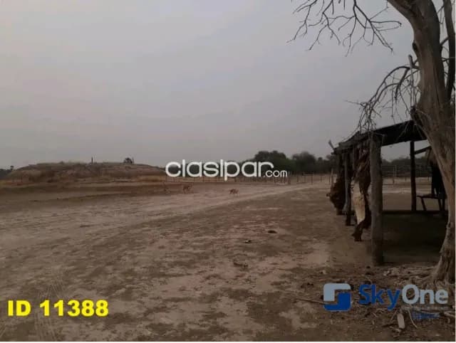 🐄🐂🌳 vendo estancia en alto paraguay-fortin florida, 1500has🌳🐂🐄, foto 5