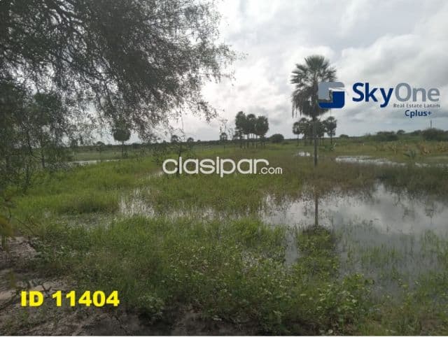 🐄🐂🌳 vendo estancia en alto paraguay-fortin florida, 1600 has🌳🐂🐄