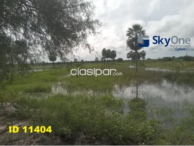 🐄🐂🌳 vendo estancia en alto paraguay-fortin florida, 1600 has🌳🐂🐄, foto 2
