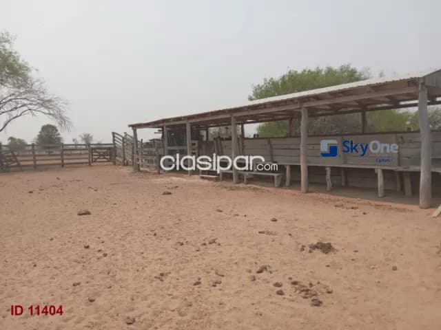 🐄🐂🌳 vendo estancia en alto paraguay-fortin florida, 1600 has🌳🐂🐄, foto 3