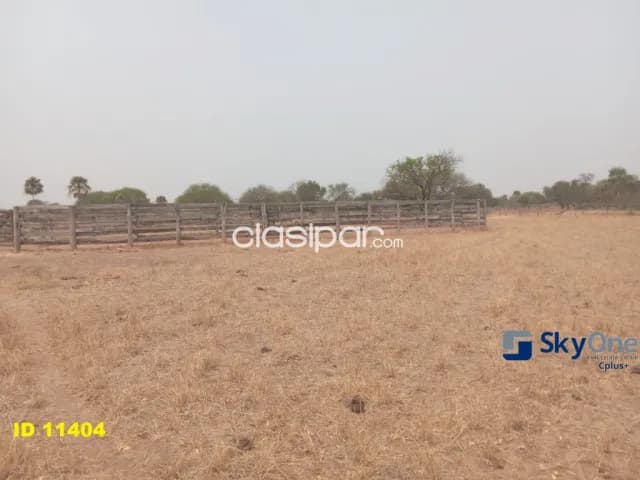 🐄🐂🌳 vendo estancia en alto paraguay-fortin florida, 1600 has🌳🐂🐄, foto 4