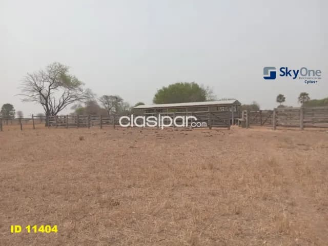🐄🐂🌳 vendo estancia en alto paraguay-fortin florida, 1600 has🌳🐂🐄, foto 5
