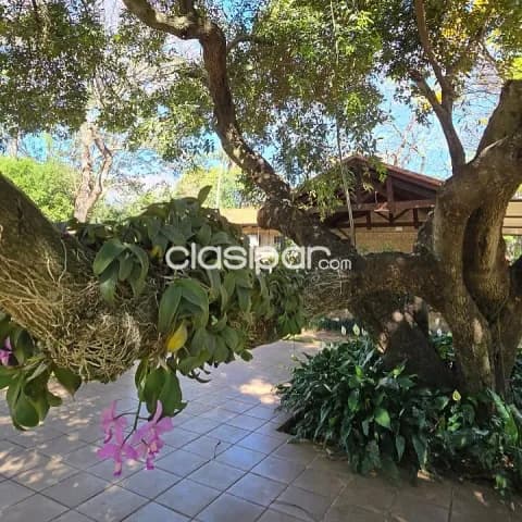 casa de 3 dormitorios en él centro de San Bernardino, foto 3
