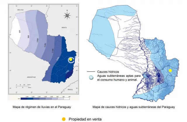 Santa rita, alto paraná: 1.223 hs mecanizadas netamente agrícola, alto rendimiento, bosque, foto 3