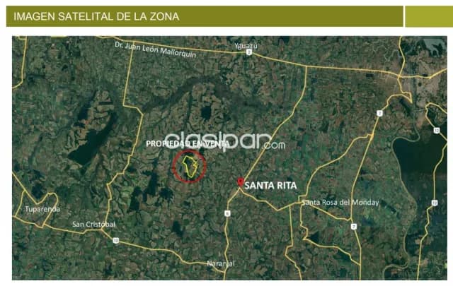 Santa rita, alto paraná: 1.223 hs mecanizadas netamente agrícola, alto rendimiento, bosque, foto 4