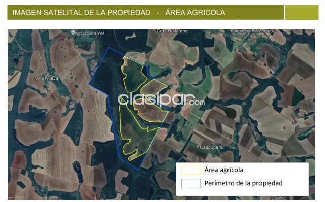 Santa rita, alto paraná: 1.223 hs mecanizadas netamente agrícola, alto rendimiento, bosque, foto 5
