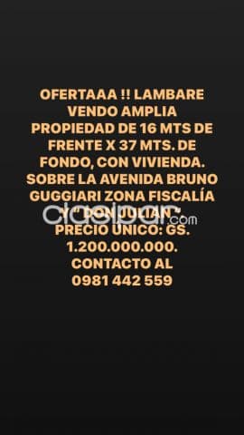 Oferta ! Lambare.vendo amplia propiedad sobre la av.b.guggiari..con vivienda z/ don julian