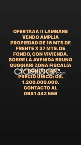 Oferta ! Lambare.vendo amplia propiedad sobre la av.b.guggiari..con vivienda z/ don julian — foto 2
