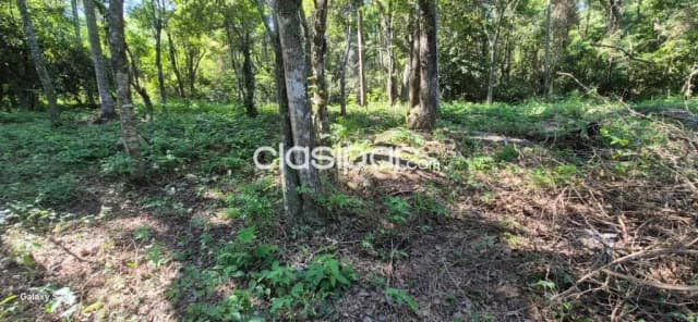 terreno zona Anfiteatro JA Flores - San Bernardino, foto 2