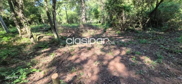 terreno zona Anfiteatro JA Flores - San Bernardino, foto 3