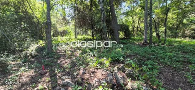 terreno zona Anfiteatro JA Flores - San Bernardino, foto 4