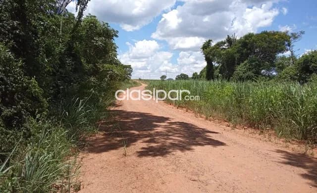 Pedro juan caballero - zona rio ypane mi - 50 km de pjc - 454 hectareas, foto 2