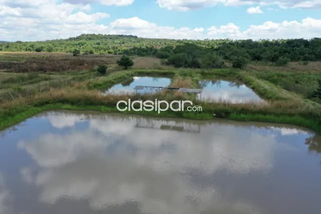 Propiedad de 1 hectarea sobre ruta en atyra, foto 3